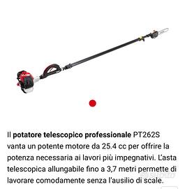 Potatore Telescopico Shindaiwa PT262S