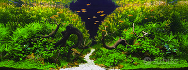 Arredi legno naturale per Aquascaping e Acquari
