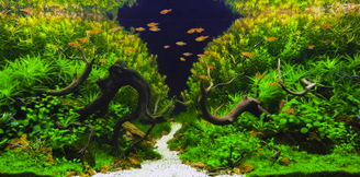 Arredi legno naturale per Aquascaping e Acquari