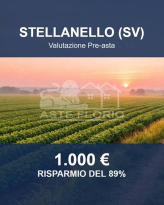 Immobile in asta di 3330 m² a Stellanello