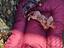 Immagine 5