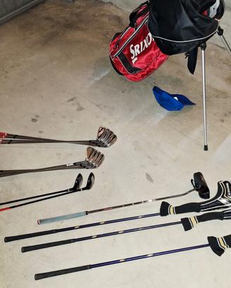 Set Completo Golf: Srixon + Honma Beres + Wilson