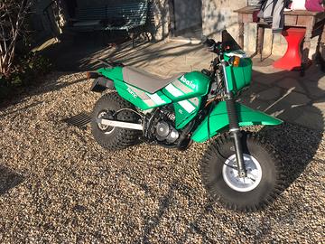 Fantic Koala cc.50 1988 Perfetto