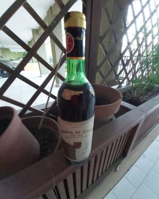 vino malvasia di cagliari d'annata