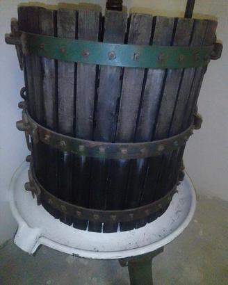 torchio 50