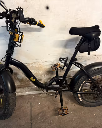 Fat bike