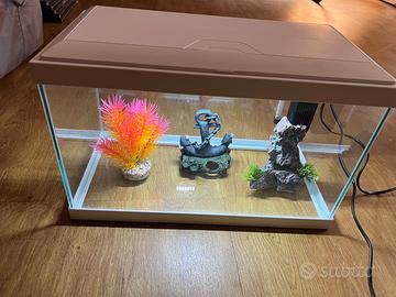 ACQUARIO COMPLETO 20L CON FILTRO