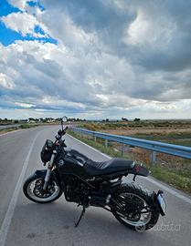 benelli leoncino 500 trail 