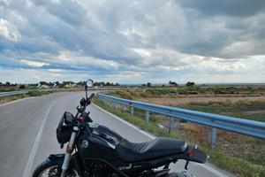 benelli leoncino 500 trail 