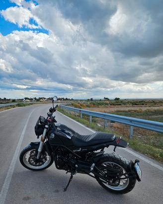 benelli leoncino 500 trail 