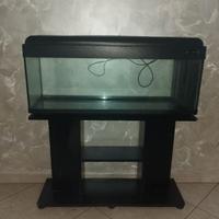 Acquario
