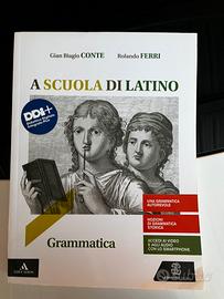 A scuola di latino. Granmatica