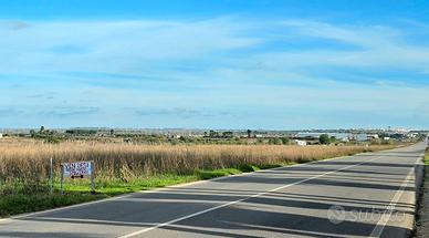 Terreno a Racale con accesso da strada principale