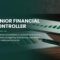 SENIOR FINANCIAL CONTROLLER