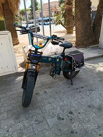 Fiido M1 pro 2025 ebike