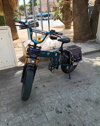 Fiido M1 pro 2025 ebike