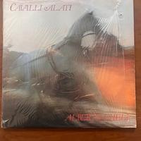 Vinile LP "Alberto Cheli - Cavalli Alati"