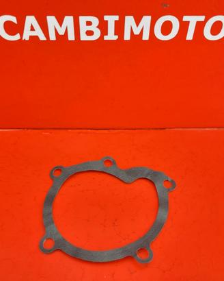 GUARNIZIONE POMPA ACQUA BMW S1000R S1000RR