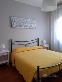 Roseto degli Abruzzi 2025