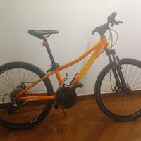 MOUNTAIN BIKE GIANT XTC JR - R24