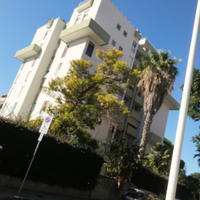 Quartiere del sole quadrivano