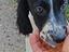 Immagine 6