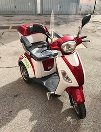 Altro Altro modello - 2020