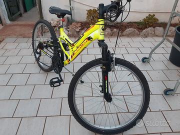mountain bike
