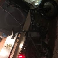 Bicicletta elettrica