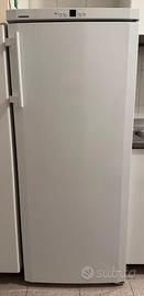 Congelatore verticale LIEBHERR