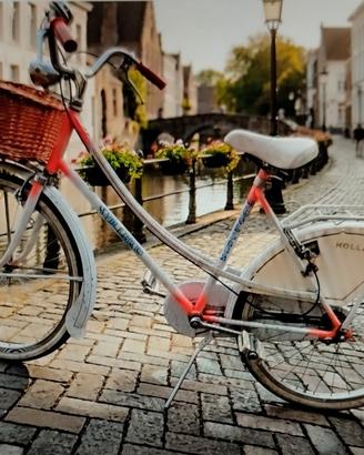 Bicicletta