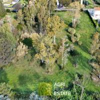 Terreno agricolo 9.000 mq | TR481