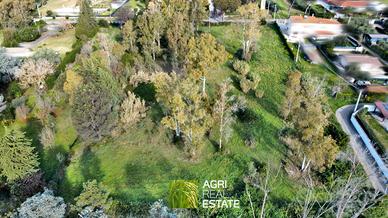 Terreno agricolo 9.000 mq | TR481