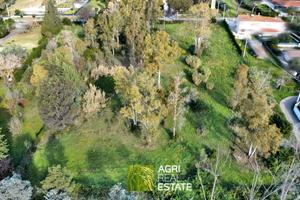 Terreno agricolo 9.000 mq | TR481