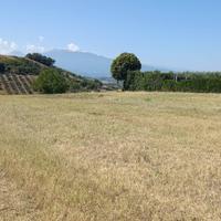 Terreno edificabile residenziale - Castorano