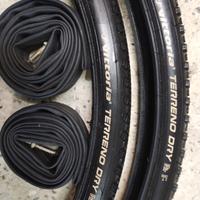 Vittoria terreno dry 700x35