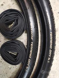 Vittoria terreno dry 700x35