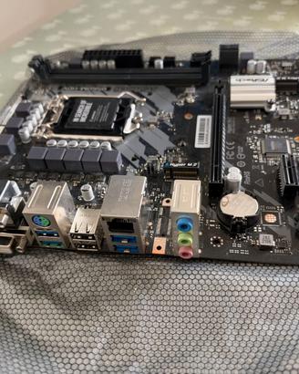 Scheda Madre ASROCK B560M-HDV
