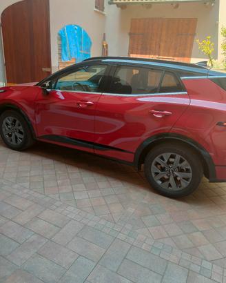  Kia Sportage full Hybrid 2024 215 cavalli