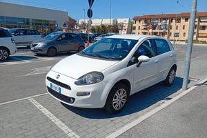Punto Natural power