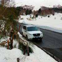 Subaru forester 4x4 GPL full optional