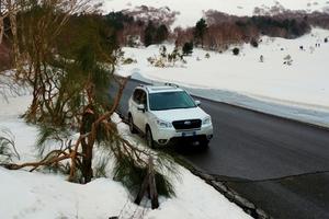 Subaru forester 4x4 GPL full optional