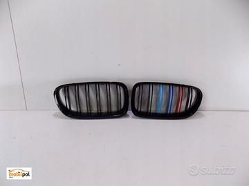 BMW 5 F10F11 Reni / Griglia - 0202