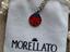 Immagine 1