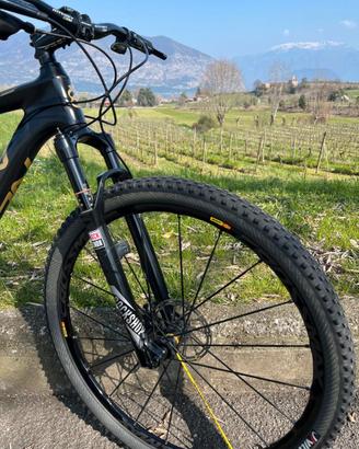 Mtb full carbon