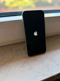iPhone 11 128GB colore verde acqua