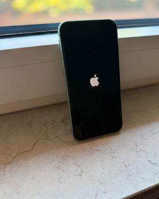 iPhone 11 128GB colore verde acqua