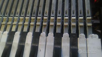 Tasti tastiera Solina