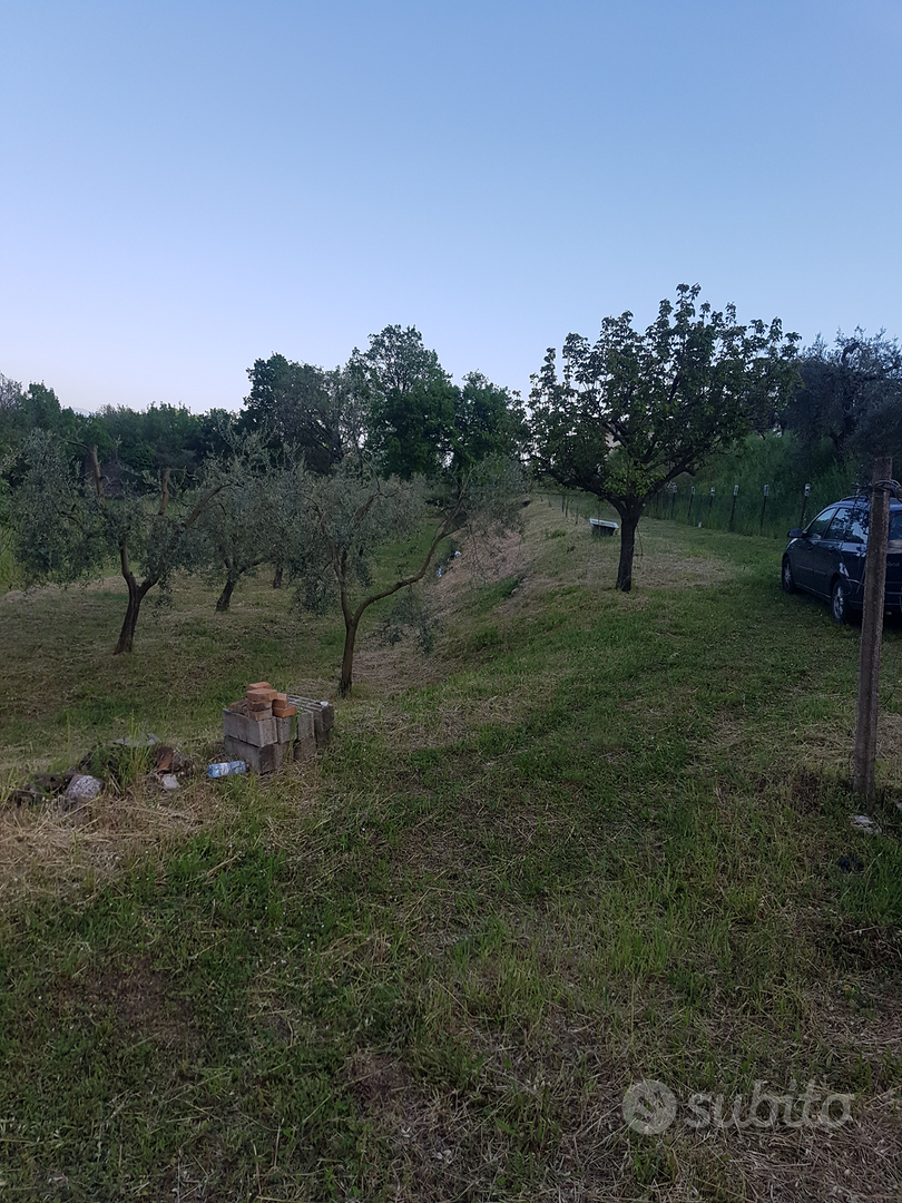 Rustici e terreni - Vista 4