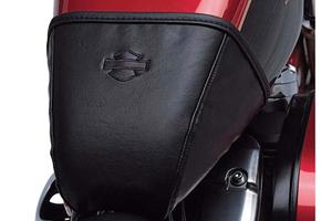 Protezione serbatoio sportster